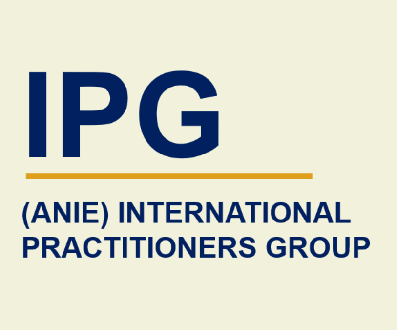 Launch of the International Practitioners Group (IPG) at the 14th ANIE Conference